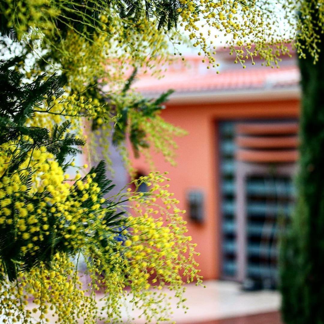 Thalassa Hotel & Spa Paleros Exterior foto